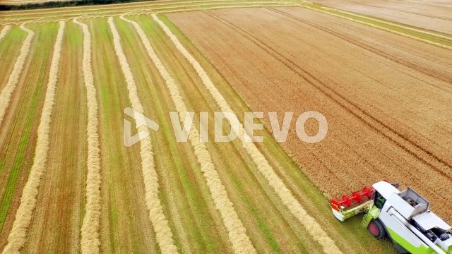 Drone footage of golden fields and combine harvester