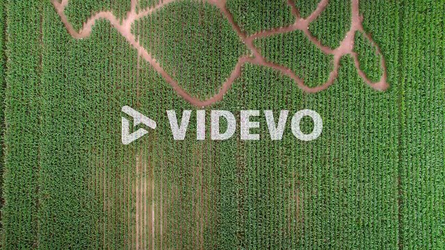Aerial drone bird's eye view over a corn maze on a family farm at daytime