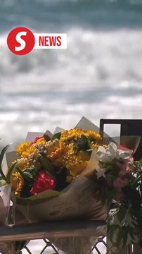 Teenage girl killed in shark attack off Australia's east coast