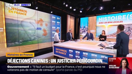 En Dordogne, à Lisle, un justicier mystère dépose des drapeaux sur les déjections canines