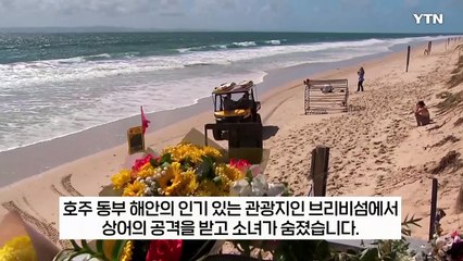 "이렇게 가까운 곳서 충격"...호주 인기 해변 출몰한 상어에 10대 비극 [지금이뉴스]  / YTN