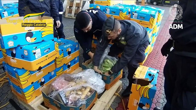 Tra le banane 27 chili di cocaina purissima: altro maxi sequestro di droga al porto di Gioia Tauro