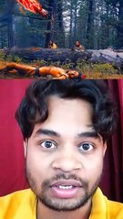 lady Tarzan VS  beer