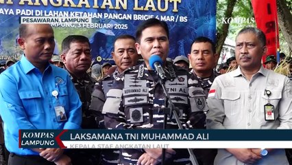 Dukung Makan Bergizi Gratis, KSAL Pimpin Panen Raya Padi di Lampung