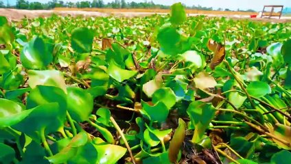 Funny Reactions from Prank Masters 😂