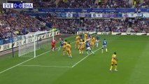 Everton F.C. vs Brighton & Hove Albion F.C. | Highlight | Premier League | 24/25