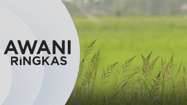 AWANI Ringkas: Harga lantai padi: Kenaikan dijangka diumum minggu depan