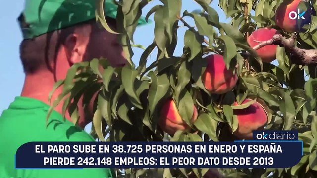 El paro sube en 38.725 personas en enero y España pierde 242.148 empleos: el peor dato desde 2013