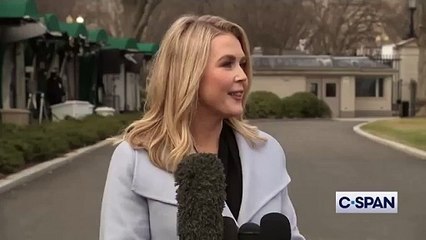 Trump press secretary stumbles over 'special employee' Musk's security clearance