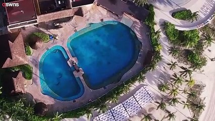 Drohne zeigt Delfine im „kleinsten Becken Lateinamerikas“ meterweit vom Meer entfernt