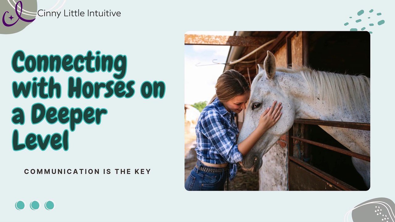 Unlocking Trust and Harmony: Connect with Your Horse on a Deeper Level with a Skilled Horse Communicator