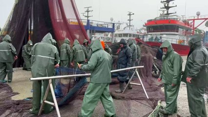 Sinop limanına balıkçı akını