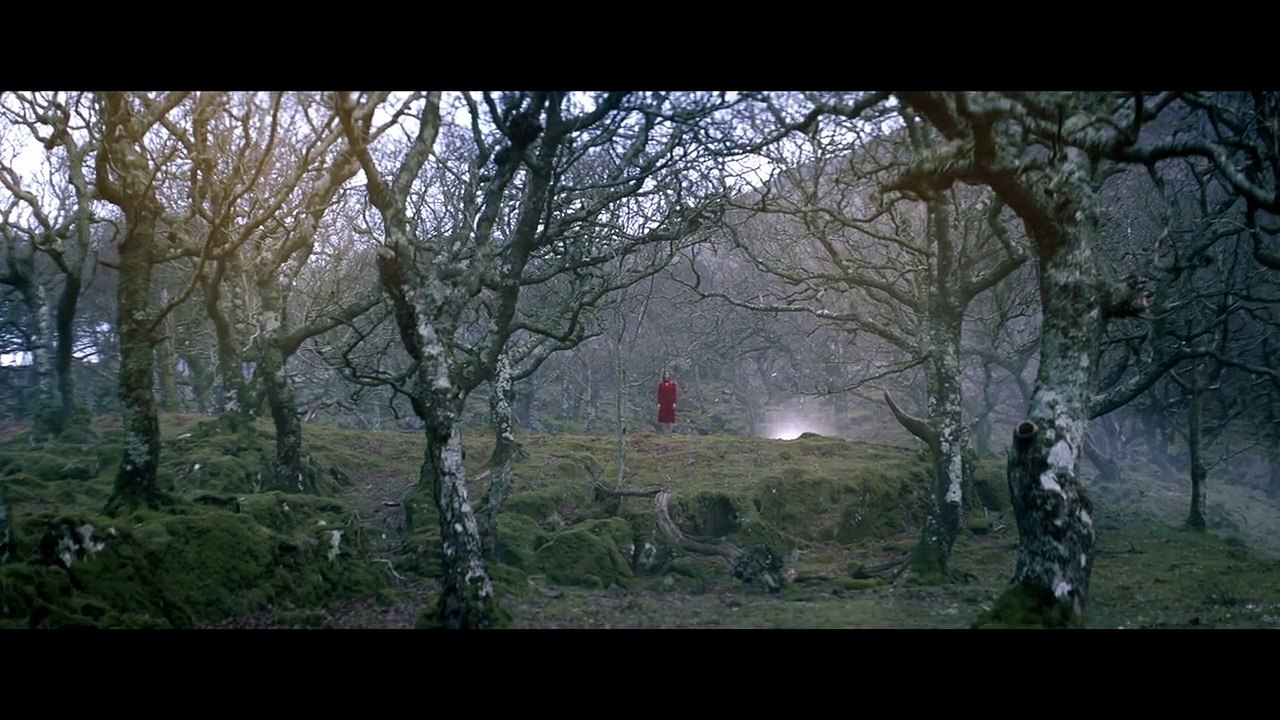 Shepherd - Fluch der Vergangenheit