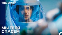 Мы Выиграем Битву За Жизнь - Чудо доктор