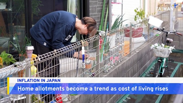 Japanese Family Grows Own Vegetables To Beat Soaring Food Prices