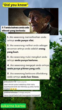 Anda berada di level yang berbeda #motivasi #bisnis #sukses #pengusaha