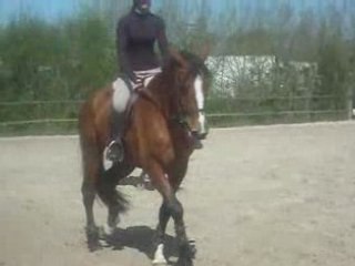 Concour coullon Leonore