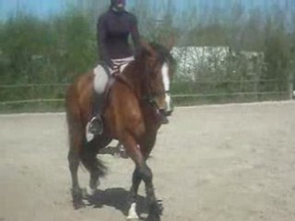 Concour coullon Leonore