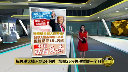 美加墨关税紧急调整：关税暂缓一个月，边境合作升级 🇺🇸🇨🇦🇲🇽