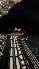 India peace maker world