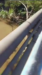 Chofer se lanza a canal de riego para evadir ser arrestado en Montecristi