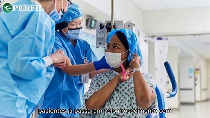 "Transplantes de rins de porco, caça ilegal e Polo Norte: Notícias surpreendentes que chocam o mundo."
