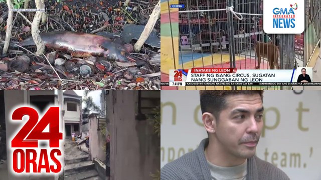 24 Oras: (Part 3) Spinner dolphins, namataang patay sa iba't ibang parte ng Negros Oriental; sinunggaban ng leon sa China; Mark Herras kaugnay ng raket sa isang club: Basta walang tinatapakang tao at legal, i'll do it, atbp.