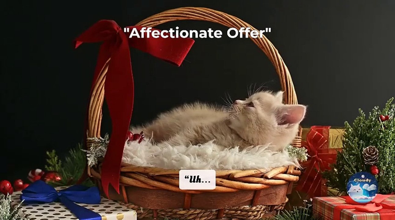 Why Do Cats Bring ‘Gifts’ Like Dead Mice Instincts Explained