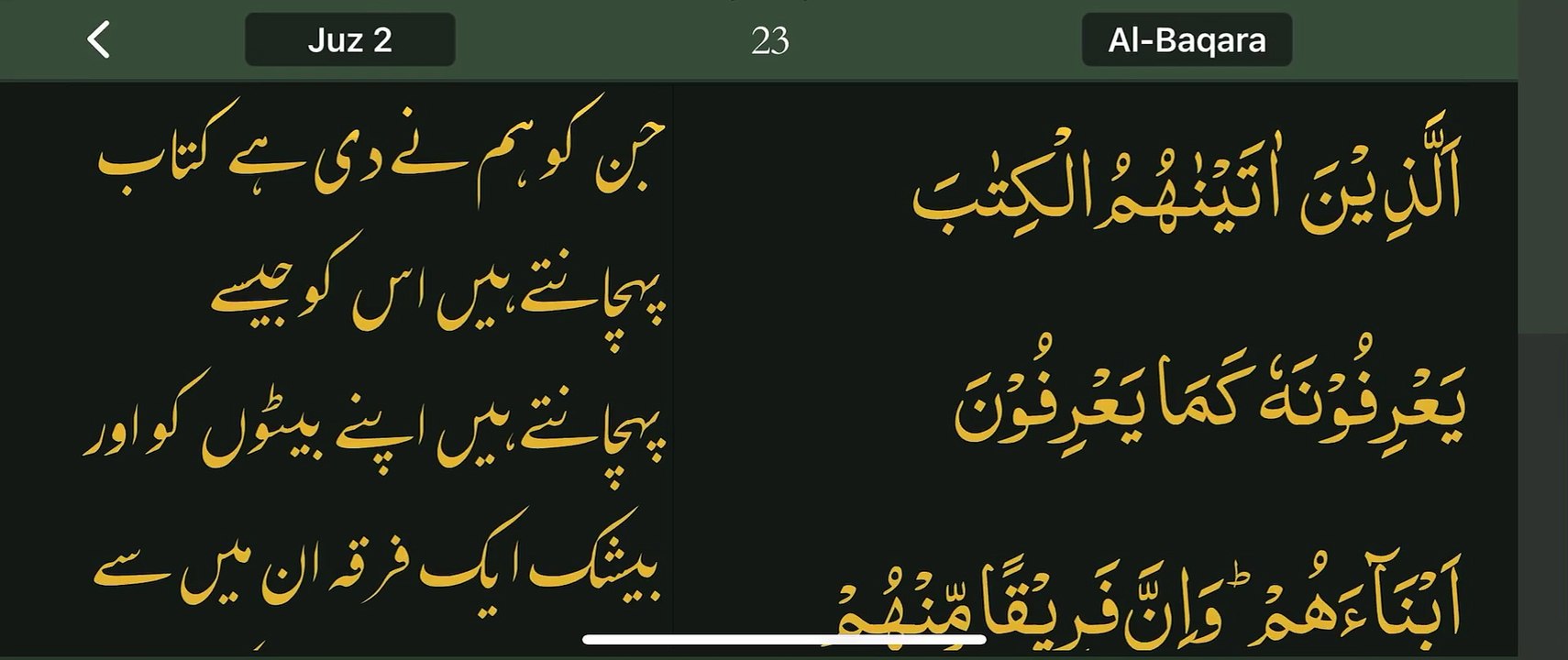Read Qur’an everyday with naziaqaiser - Surah albakara verse , 146, 147, 148, 149