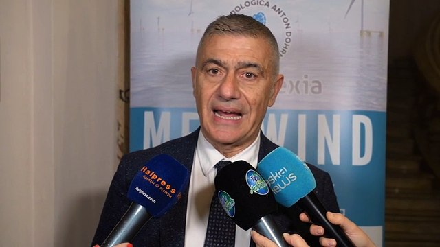Pecoraro Scanio: eolico offshore risposta a emergenza clima
