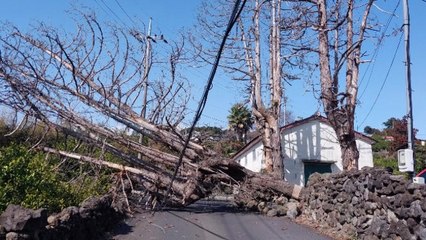 제주, 대설·강풍특보...항공편 결항 등 피해 잇따라 / YTN