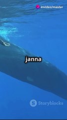 ScreenRecording_02-04-2025 20-02-22_1