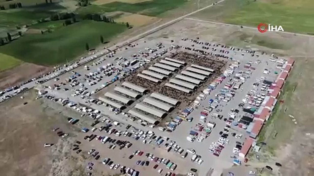 Türkiye'nin en büyük hayvan pazarında kırmızı alarm: Tedbir amacıyla kapatıldı
