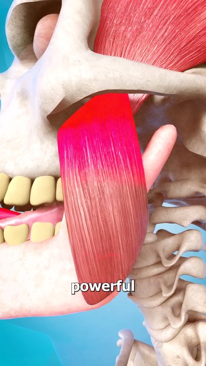 Could-You-Bite-Off-Your-Tongue 🥺