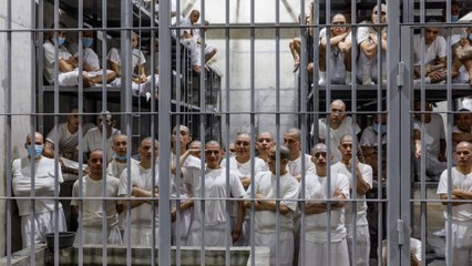 Bukele se alía con EEUU y le ofrece su megacárcel para "criminales" inmigrantes y estadounidenses