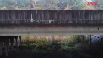 Usa, sottopassi stradali per salvare i lupi rossi dall'estinzione