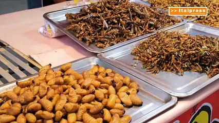 Farine a base di insetti, crolla l’import del 30%