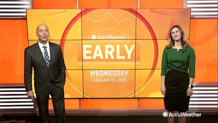 How researchers use technology to track bees