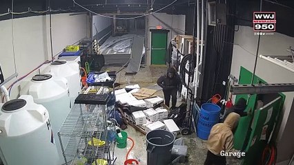 Detroit police looking for men who broke into dispensary, stole merchandise