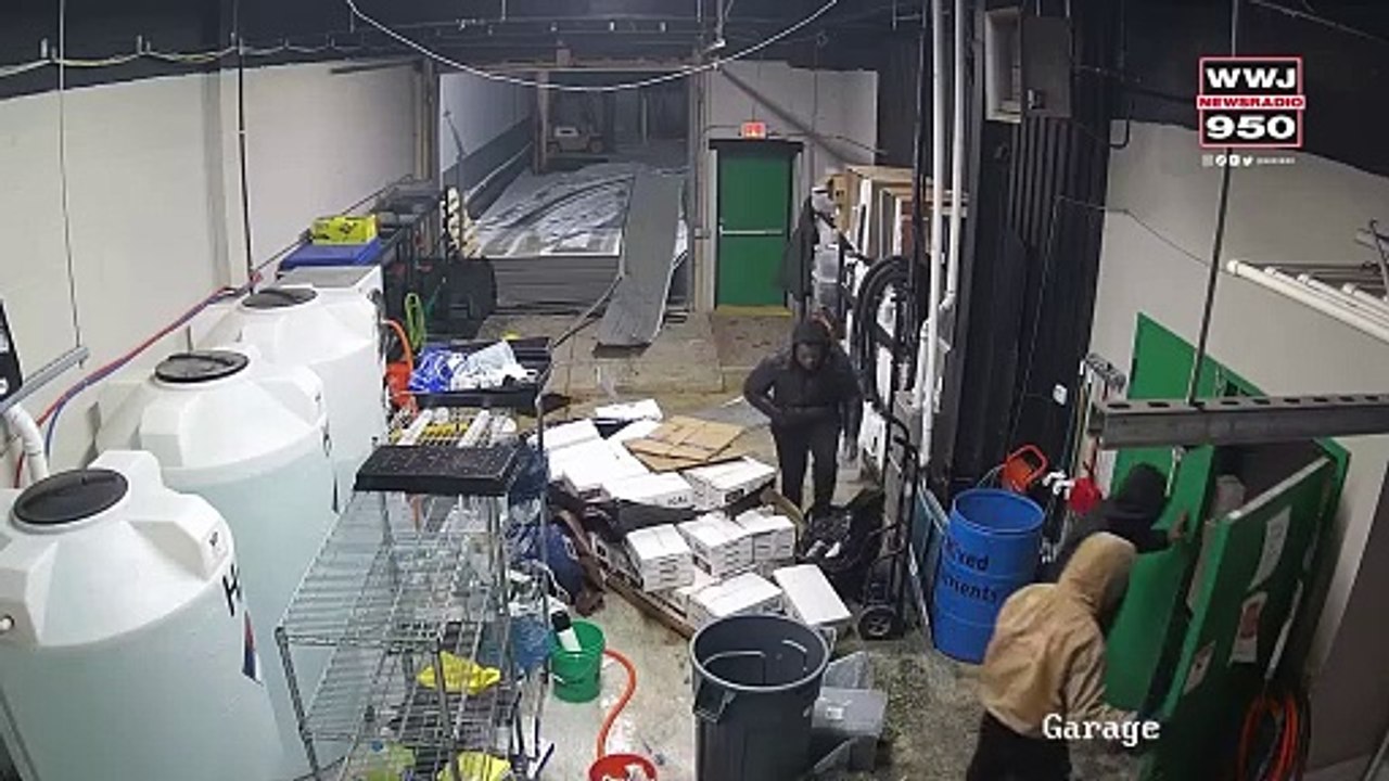 Detroit police looking for men who broke into dispensary, stole merchandise
