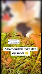 印尼森林探索超自然现象 失联马来网红 找到了！