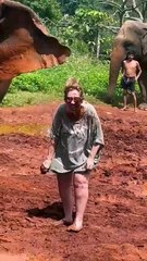 Holiday fail: Cheeky elephant gives woman a muddy makeover