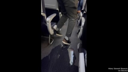 A Nightmare Plane Scenario must see videos in 2025