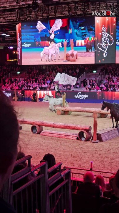 Dramatic end to liberty work as rider falls during London International Horse Show 2024