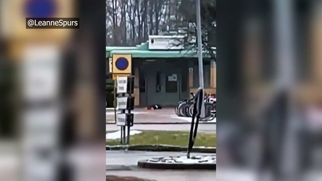 Cinco heridos por un tiroteo en una escuela del centro de Suecia