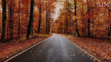 Beautiful Relaxing Music: Stop Overthinking, A Relaxing Piano Journey #2