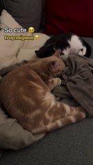 Nap time = Best time 💤 L’heure de la sieste = le meilleur moment 💤