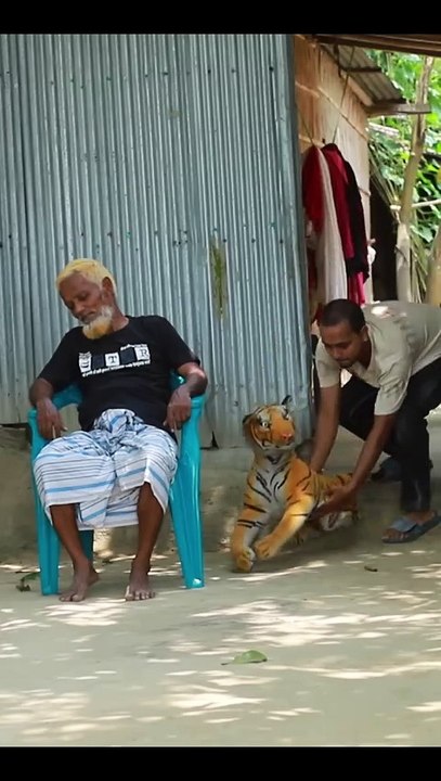Tiger frank funny