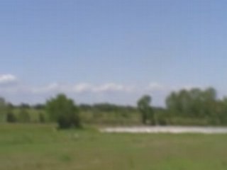 compy 300 FPBD Looping