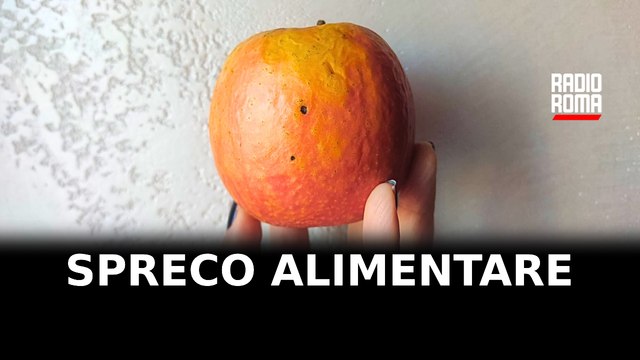 Spreco alimentare, tra cattive abitudini e nuove sfide